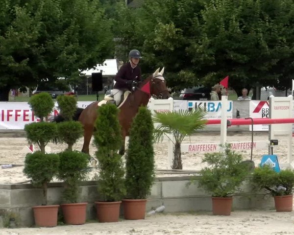 Reitturnier Balsthal 2022