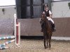 dressage horse Ari 58 (German Riding Pony, 2004, from Amarillys Sensation D)