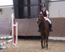 dressage horse Ari 58 (German Riding Pony, 2004, from Amarillys Sensation D)