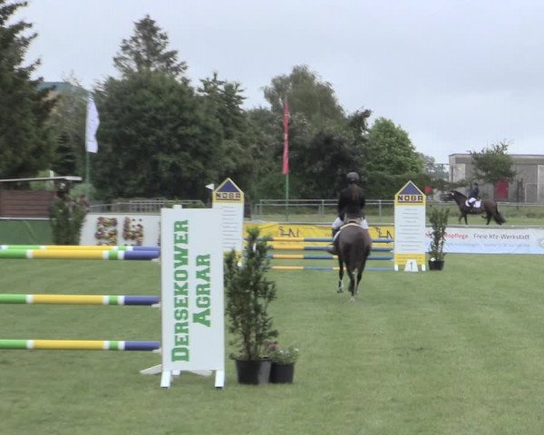 Reitturnier Dersekow 2022