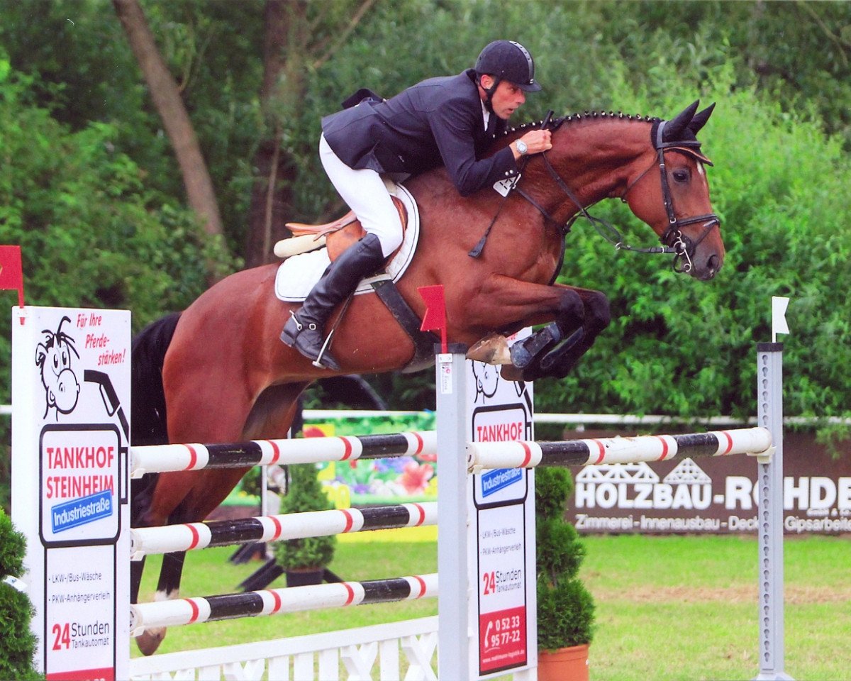 jumper Ce'est la vie DB (Westphalian, 2004, from Carry Gold)