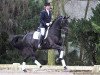 stallion Zenon (KWPN (Royal Dutch Sporthorse), 2004, from Rousseau)