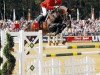 jumper Cornflakes (Oldenburg show jumper, 2006, from Cafe au lait 2)