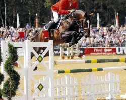 jumper Cornflakes (Oldenburg show jumper, 2006, from Cafe au lait 2)