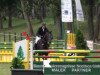 jumper Wincenz vom Neumühler Hof (Hanoverian, 2004, from Wolkenzauber)