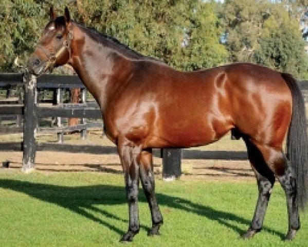 stallion Time Thief xx (Thoroughbred, 2005, from Redoute's Choice xx)