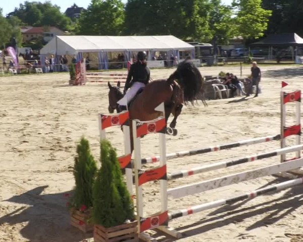 Reitturnier Heiligenwald 2022
