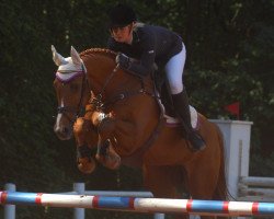 jumper Avondrood (KWPN (Royal Dutch Sporthorse), 2005, from Tenerife)