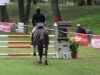 jumper Quarado (Hanoverian, 2007, from Quidam's Rubin)