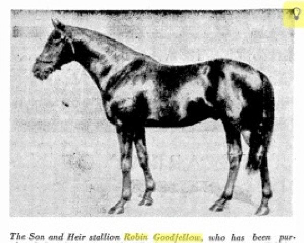 stallion Robin Goodfellow xx (Thoroughbred, 1932, from Son And Heir xx)