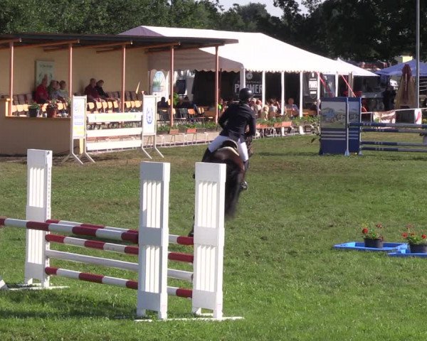 Reitturnier Ihleburg 2022
