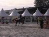 jumper Danny Kaye 2 (Swedish Warmblood, 2001)