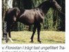 stallion Flores (Rhinelander, 1993, from Florestan I)