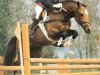stallion Landwind II (Holsteiner, 1985, from Landgraf I)