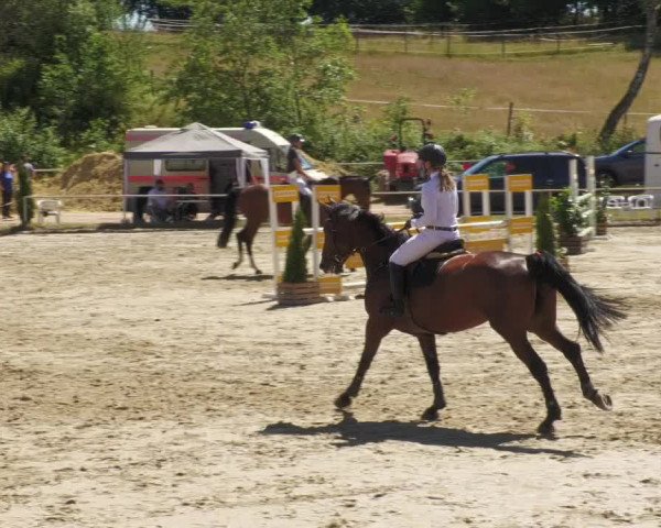 Reitturnier Heiligenwald 2022