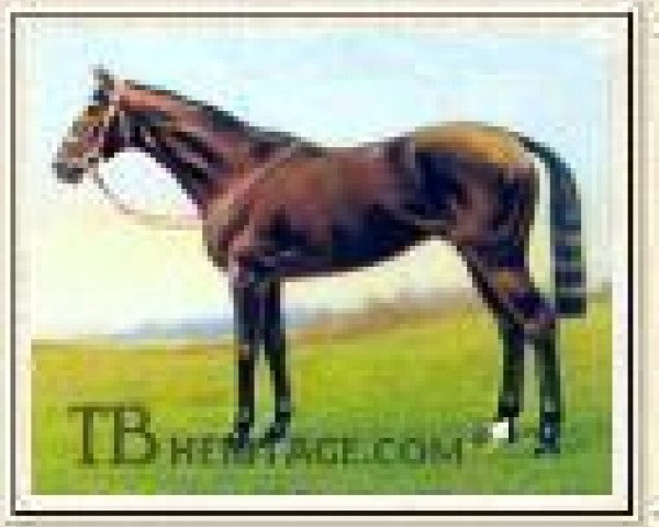 Pferd Loaningdale xx (Englisches Vollblut, 1929, von Colorado xx)