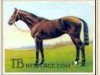 stallion Loaningdale xx (Thoroughbred, 1929, from Colorado xx)