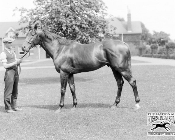 Pferd Colorado xx (Englisches Vollblut, 1923, von Phalaris xx)