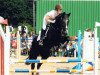 jumper Champ (Oldenburg, 2000, from Concetto I)