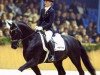 stallion Dr Doolittle 45 (Hanoverian, 1999, from Donnerhall)