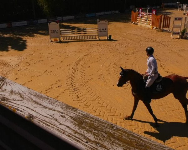 Reitturnier Uder, Reitanlage Kobold 2022