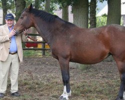 broodmare Penny Lane (Westphalian, 1988, from Pilot)