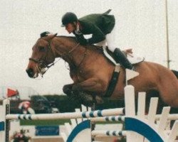 broodmare Fleur III (Holsteiner, 1991, from Romino)