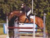 jumper Carlos 191 (Oldenburg, 1996, from Contender)