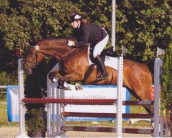 Springpferd Carlos 191 (Oldenburger, 1996, von Contender)