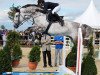 jumper Celantano (Oldenburg show jumper, 2004, from Celano)