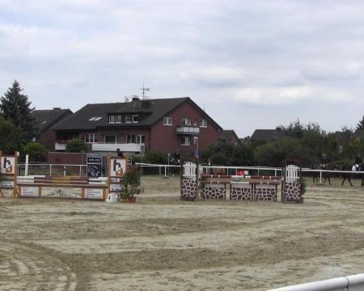 Dressurpferd Alpha I (Westfale, 2004, von Archimedes I)