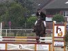 jumper Bistoukette D'Herock (Belgian Warmblood,  )