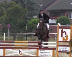 Springpferd Bistoukette D'Herock (Belgisches Warmblut,  )