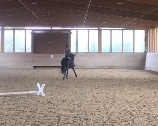 Video of A tout à l'heure FH
