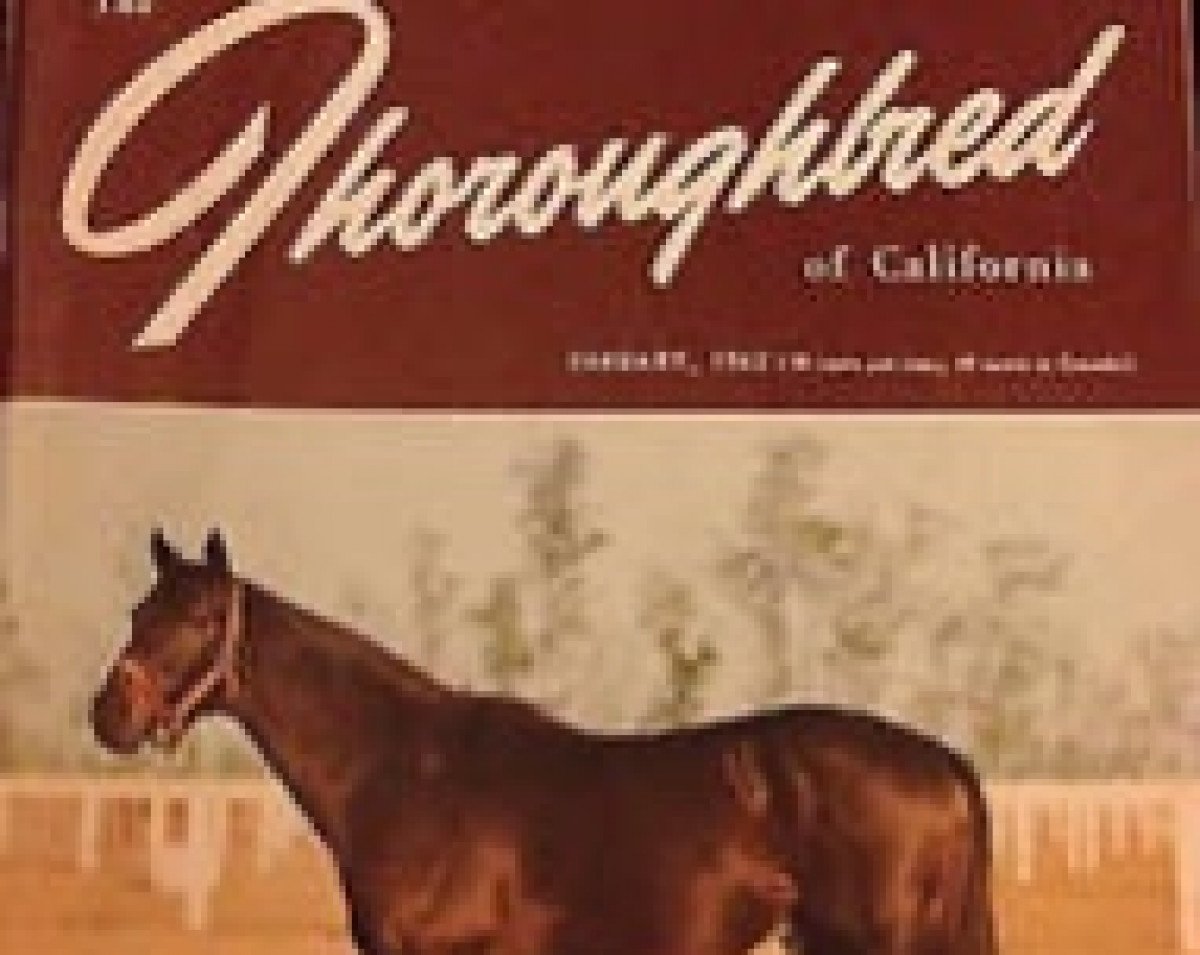 stallion Fleet Nasrullah xx (Thoroughbred, 1955, from Nasrullah xx)