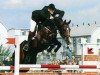 stallion Faldo (KWPN (Royal Dutch Sporthorse), 1987, from Purioso)