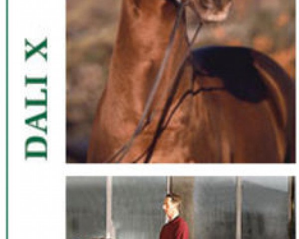 stallion Dali X (Hanoverian, 1999, from Donnerhall)