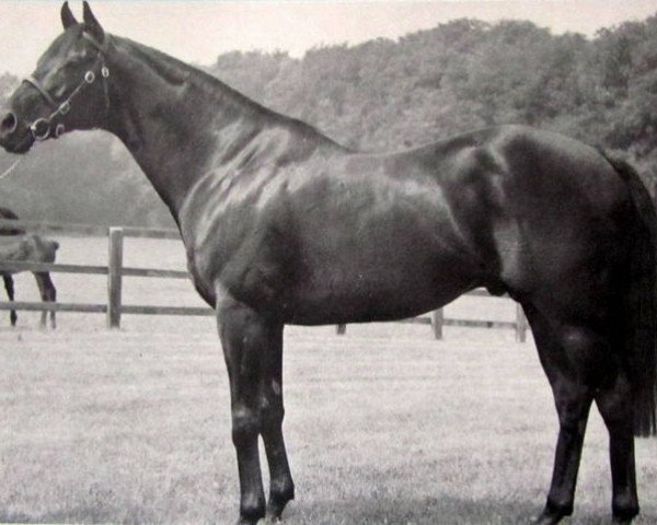 stallion Mansingh xx (Thoroughbred, 1969, from Jaipur xx)
