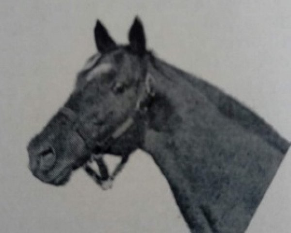 stallion Jean Valjean xx (Thoroughbred, 1926, from Stefan the Great xx)