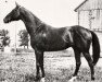 stallion Luke McLuke xx (Thoroughbred, 1911, from Ultimus xx)