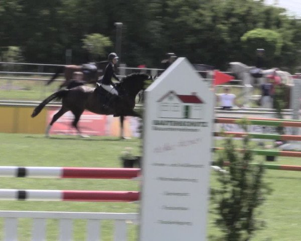 Reitturnier Dersekow 2022