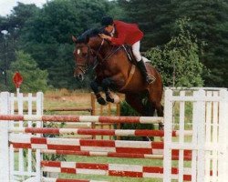 stallion Royal Feu (Selle Français, 1983, from Lord Gordon)