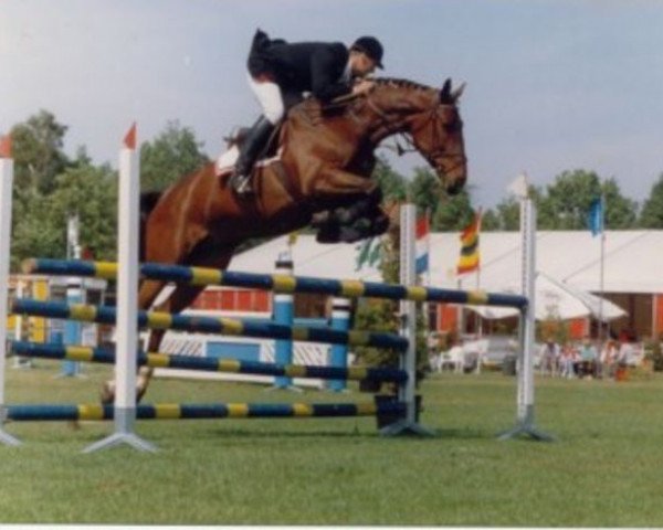 broodmare Eljenohve (KWPN (Royal Dutch Sporthorse), 1986, from Akteur)