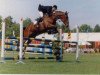 broodmare Eljenohve (KWPN (Royal Dutch Sporthorse), 1986, from Akteur)