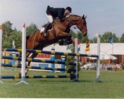 broodmare Eljenohve (KWPN (Royal Dutch Sporthorse), 1986, from Akteur)