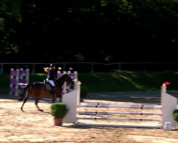 Reitturnier Viersen-Dülken 2022