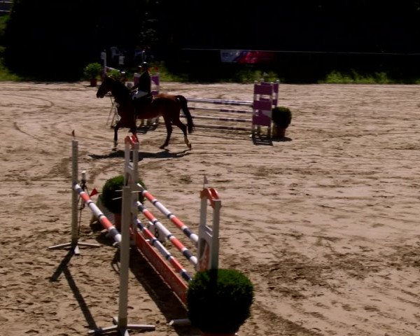 Reitturnier Viersen-Dülken 2022