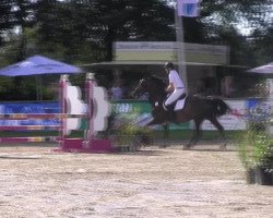 jumper Cheer 7 (Holsteiner, 2002, from Claudio's Son)