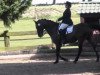 dressage horse Darwin B (German Riding Pony, 1996, from Dornik B)