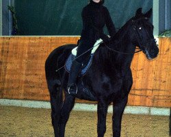 horse Praelat 7 (Hanoverian, 1985, from Pik Bube II)